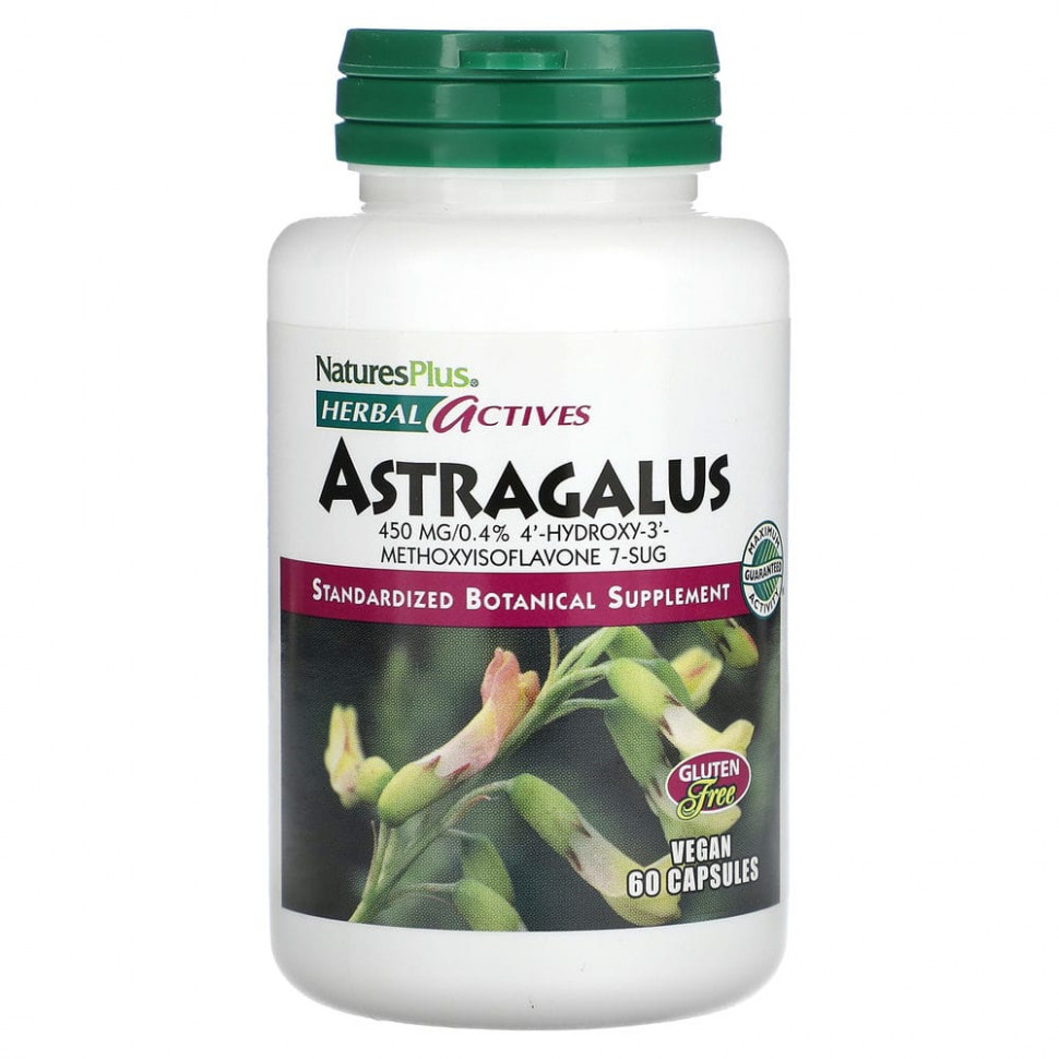   NaturesPlus, Herbal Actives, , 450 , 60      -     -,    