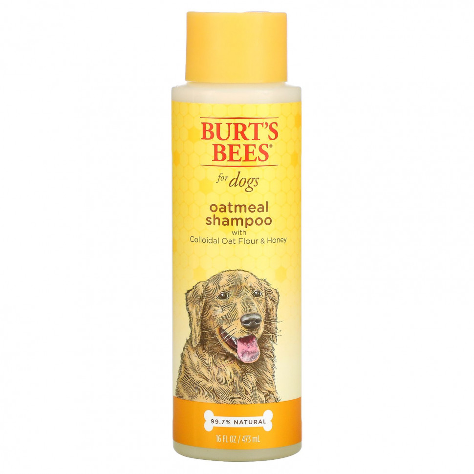   Burt's Bees, Oatmeal Shampoo for Dogs, Colloidal Oat Flour & Honey, 16 fl oz (473 ml)    -     -,    