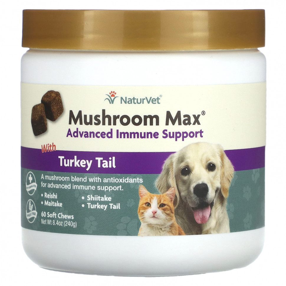   NaturVet, Mushroom Max,      ,    , 60  , 240  (8,4 )    -     -,    