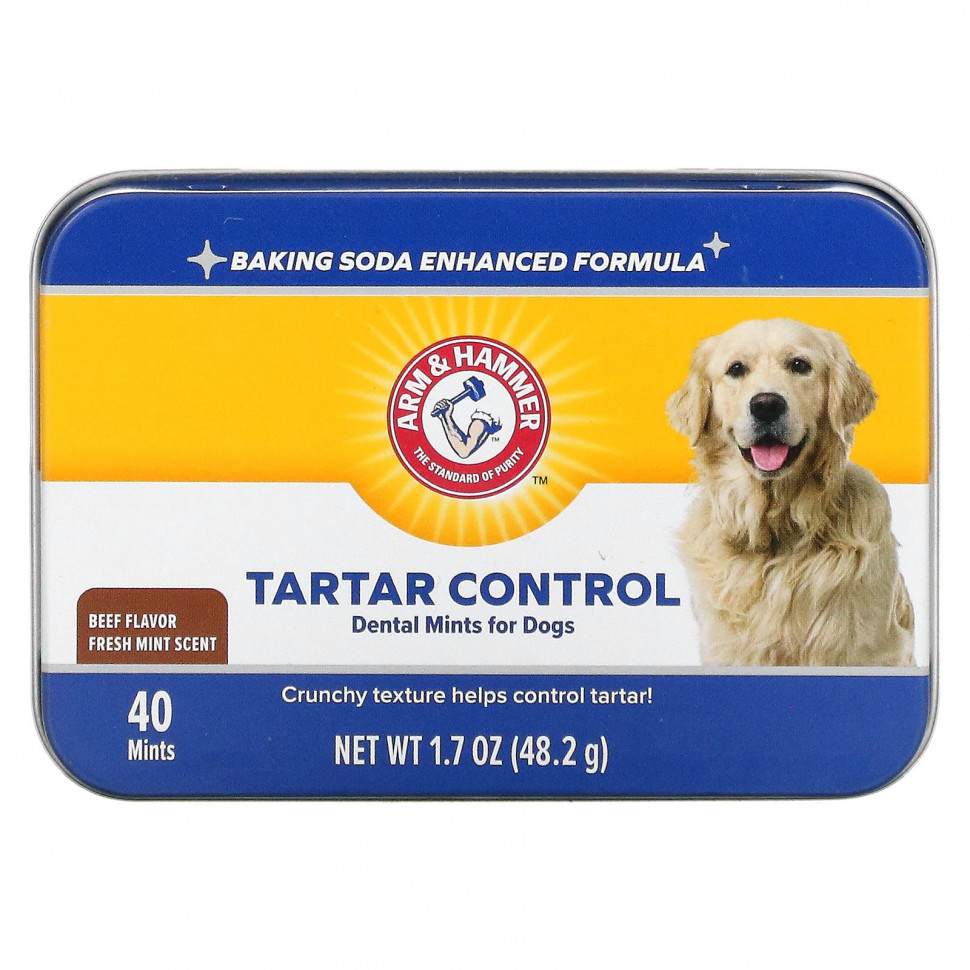   Arm & Hammer, Tartar Control Dental Mints  ,   , , 40     -     -,    