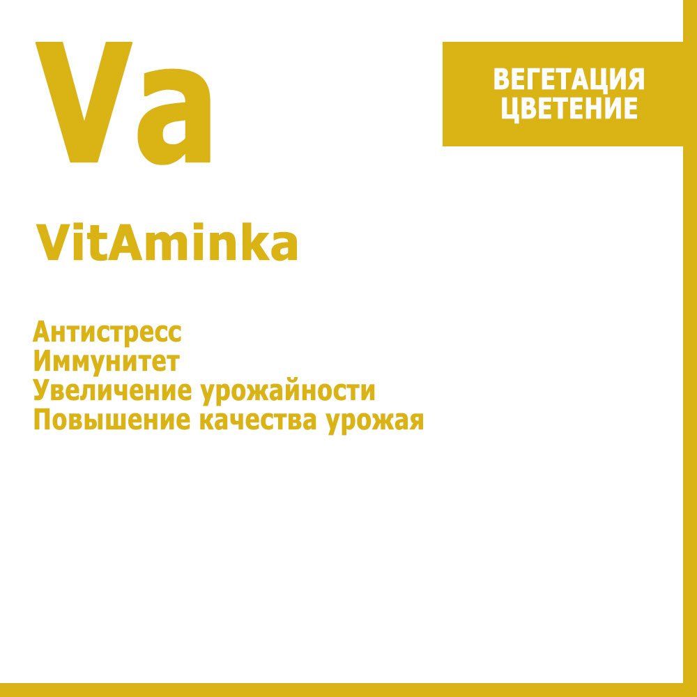   VitAminka, -  10     -     -,    