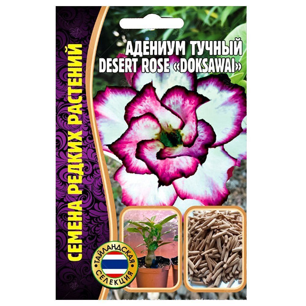    Desert Rose Doksawai      -     -,    