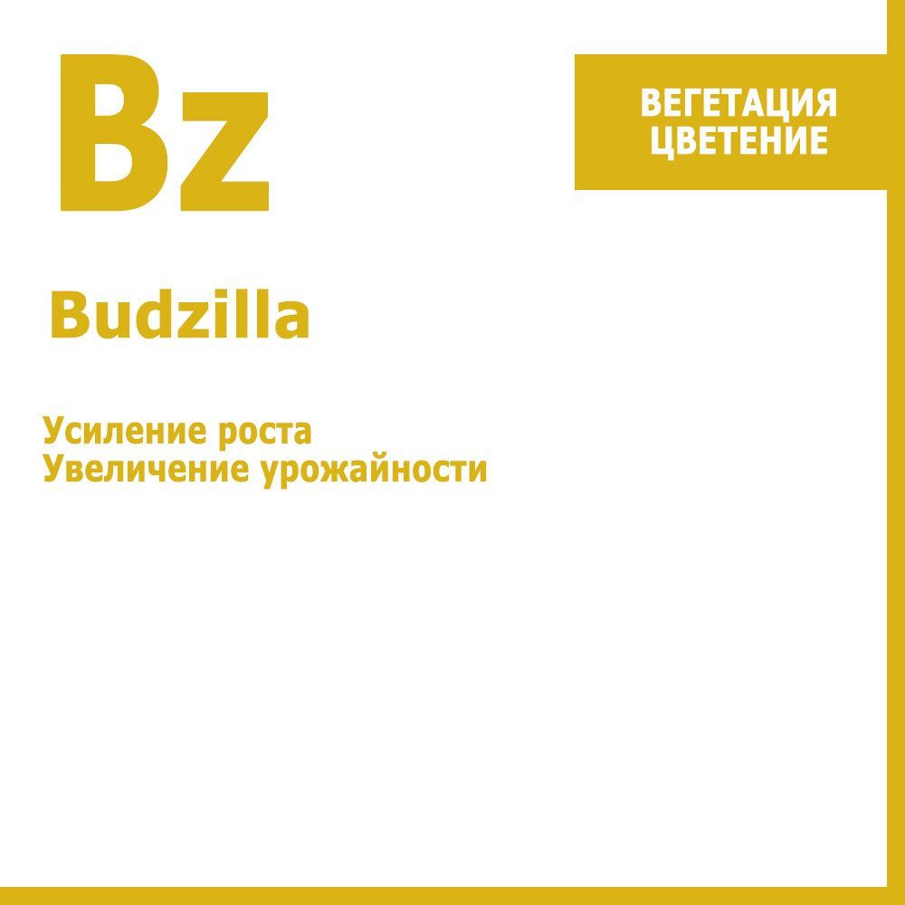   Budzilla,    250     -     -,    