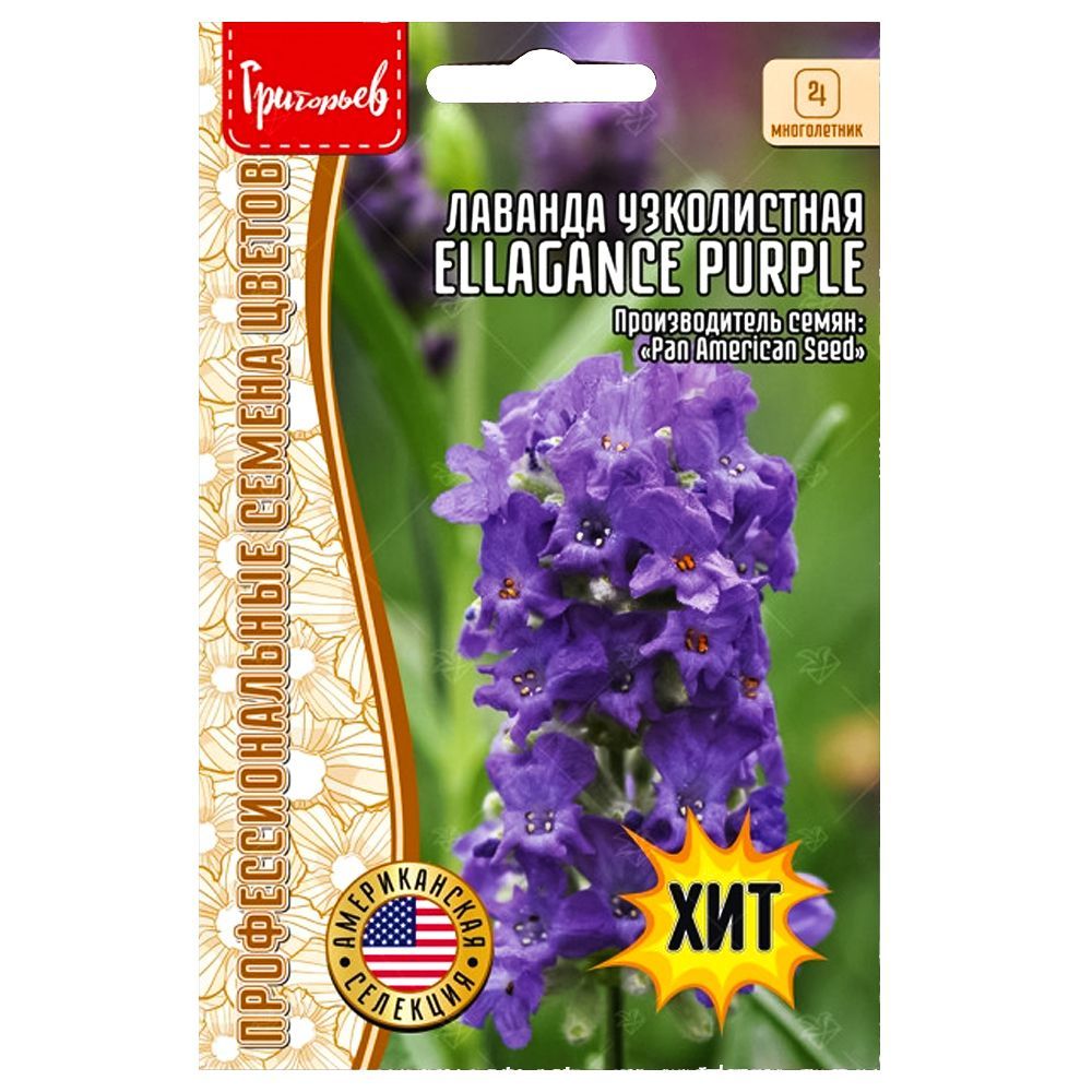     Ellagance Purple      -     -,    