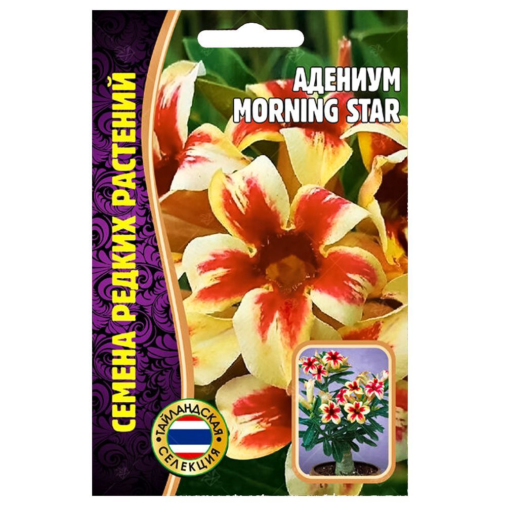    Morning Star      -     -,    