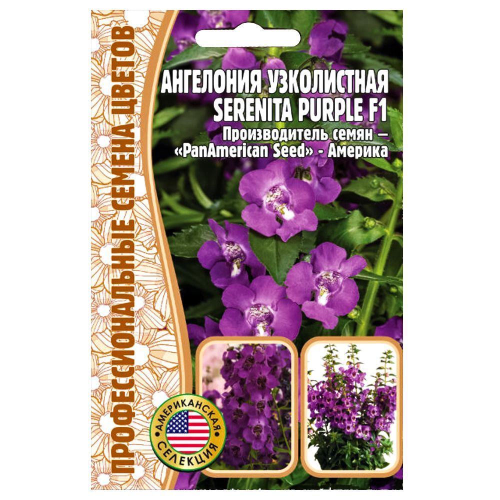     Serenita urple F1      -     -,    