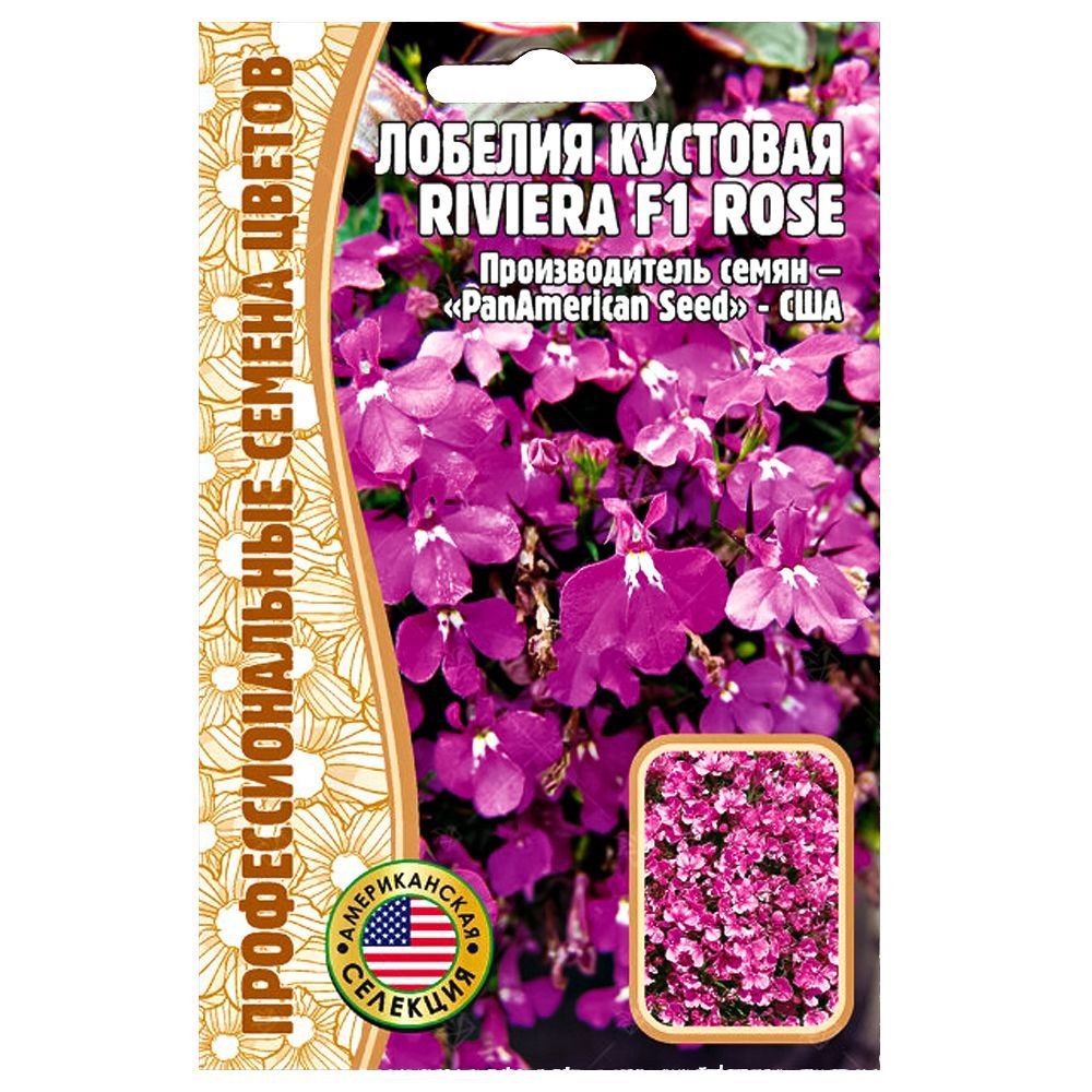     Riviera Rose F1      -     -,    