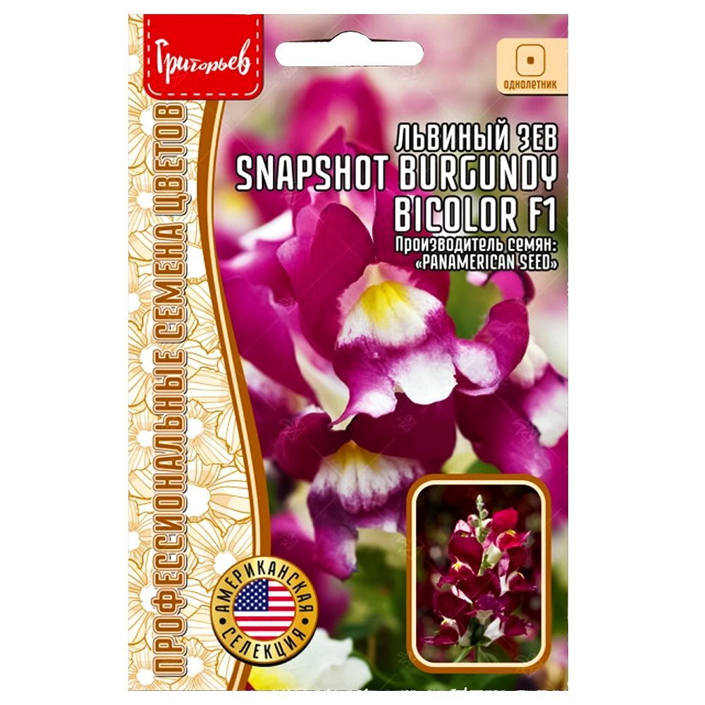     Snapshot Burgundy Bicolor F1      -     -,    