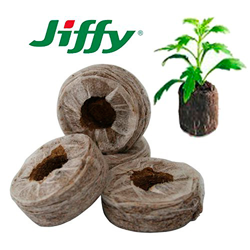      JIFFY -   - 7 (Jiffy - 7) 33 , 30 .    -     -,    