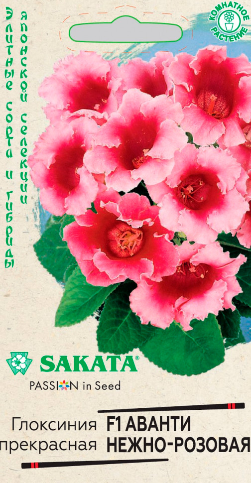       - F1, 5 . Sakata    -     -,    