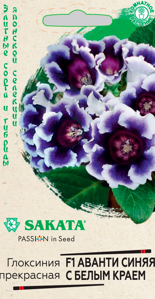           F1, 4 . Sakata    -     -,    