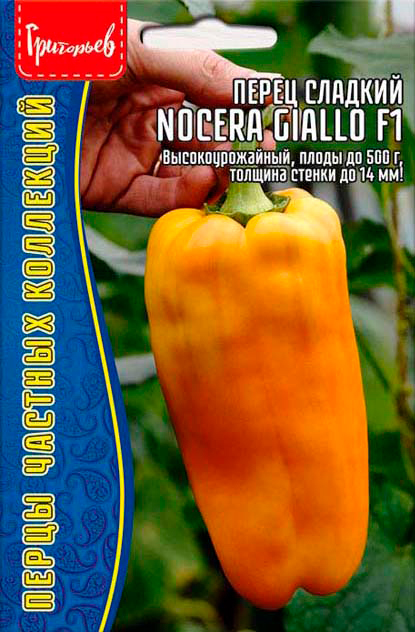       Nocera Giallo F1, 10 .      -     -,    