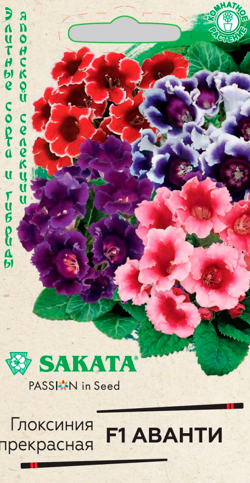       F1, , 4 . Sakata    -     -,    