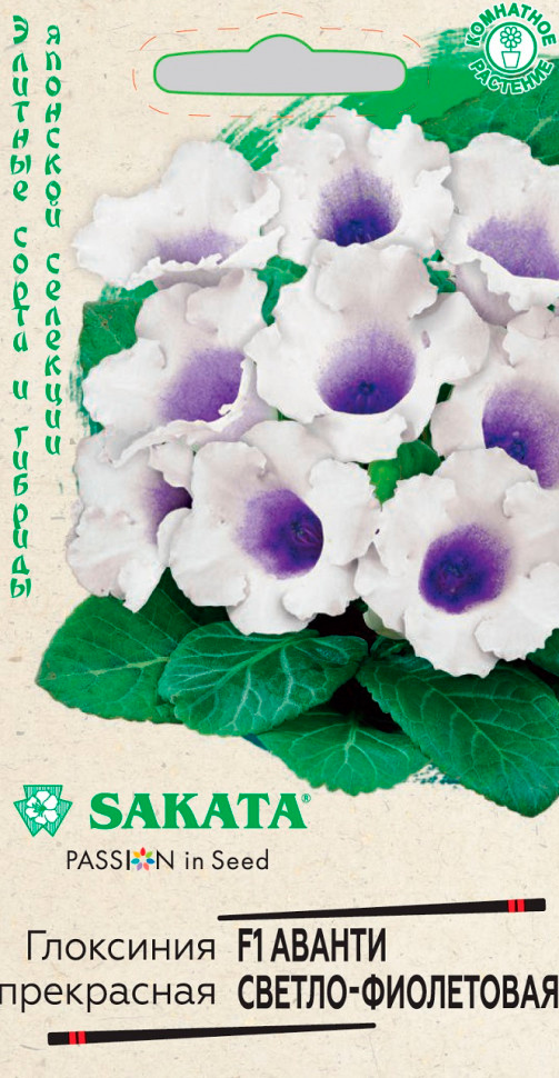       - F1, 5 . Sakata    -     -,    