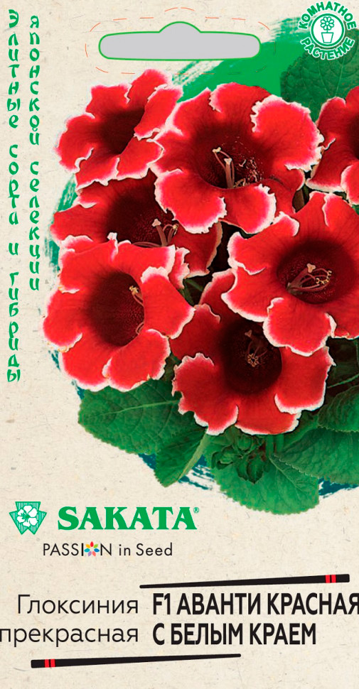           F1, 4 . Sakata    -     -,    