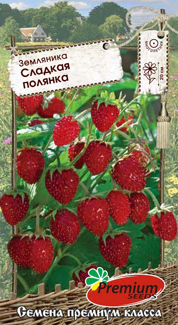    Premium seeds   ,  0,04     -     -,    