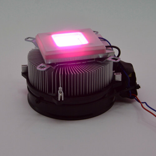    LED grow full spectrum light 50         -     -,    