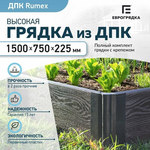      1.5  x 0.75 , ( Rumex: 22530 , : )   -     -,    