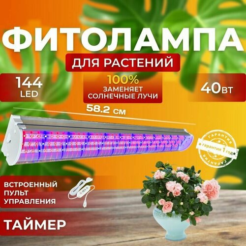        ,    ,      ,  40  144 LED   -     -,    