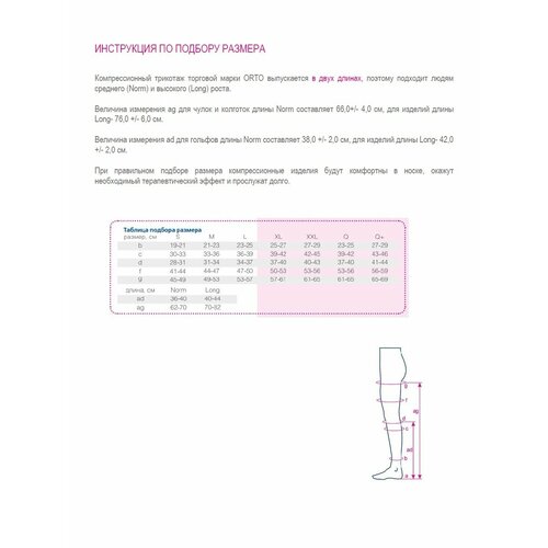   ORTO     1  (18-22  . .)/ / NORMAL L   -     -,    