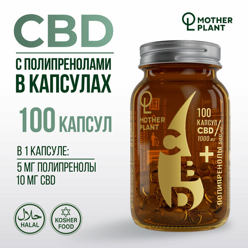    CBD     (100   10 ), Motherplant   -     -,    