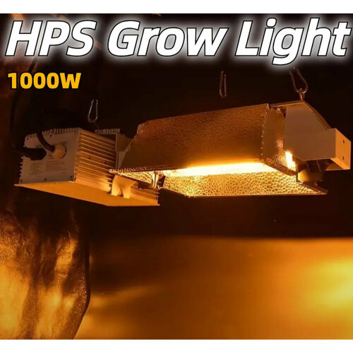   HPS 1000           -     -,    