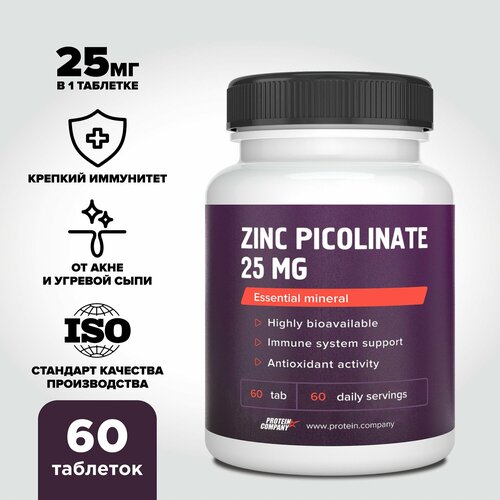     25 .     ,  , . Zinc 60 .   -     -,    