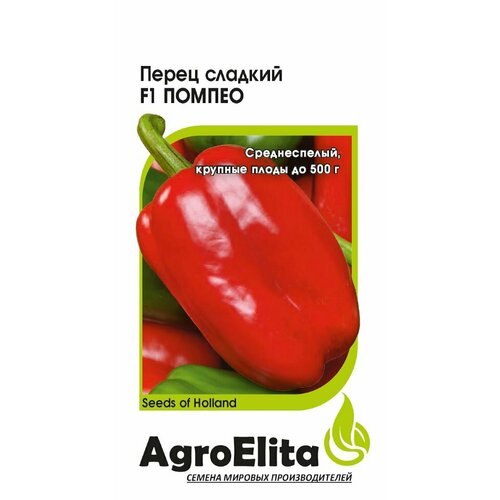       F1, 5, AgroElita, Nunhems   -     -,    