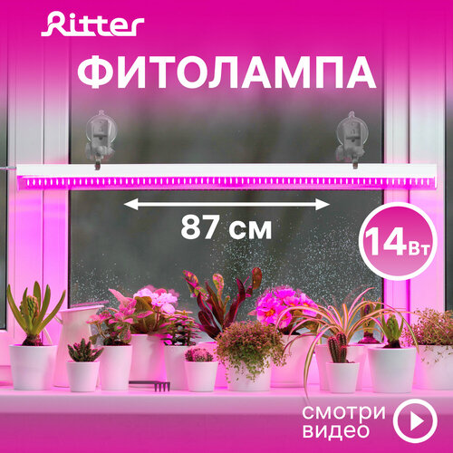       5 Ritter PLANTA, 14, 8802334,  2,   ,  ,    ,    , 56297 9   -     -,    