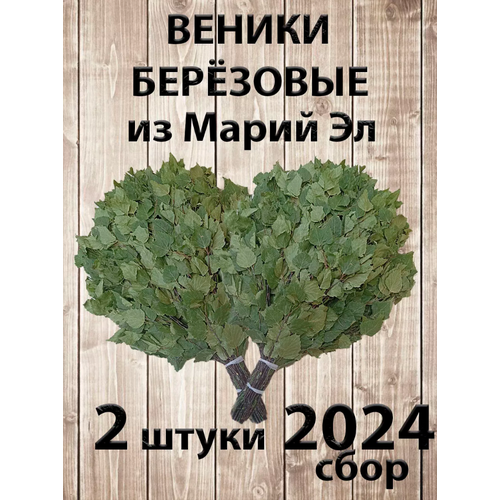       2   ,  2024    -     -,    