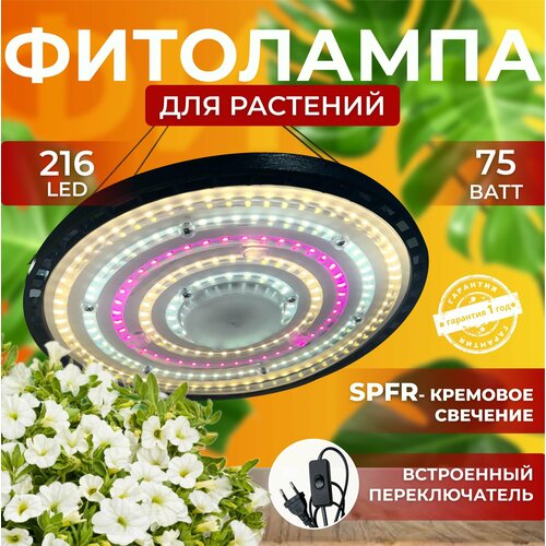           ,  ,  ,     216 LED 75    -     -,    