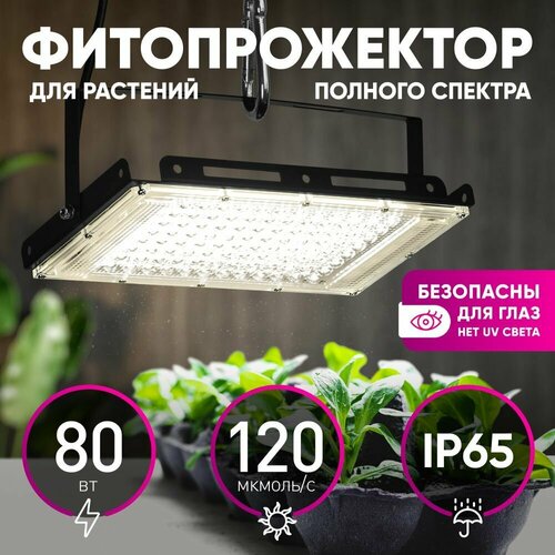        FITO-80W-Ra90-LED-Y     -     -,    