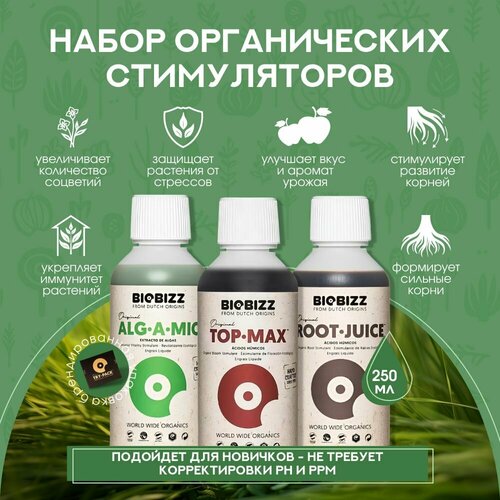           BioBizz Stimulant ack (Root-Juice, Alg-a-Mic, Top-Max) 250 .   -     -,    