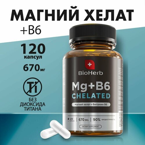   BioHerb MAGNESIUM + B6 ( + 6) , 120    -     -,    