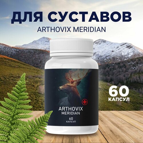       Arthovix Meridian   -     -,    