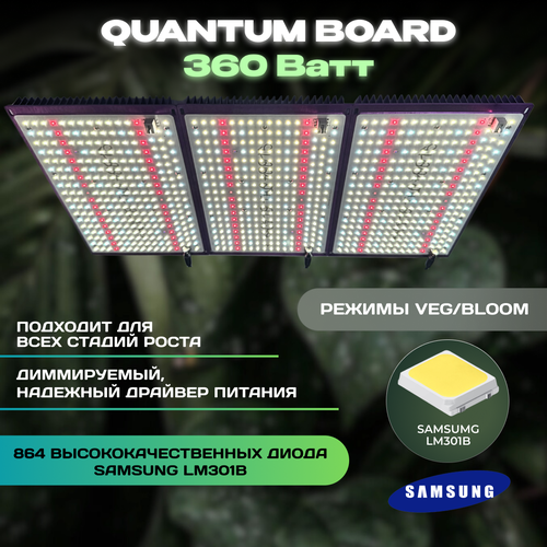    Quantum Board 360 ,  Samsung LM301B      -     -,    