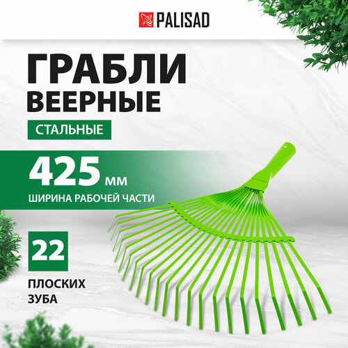     PALISAD 617705    (38 )   -     -,    