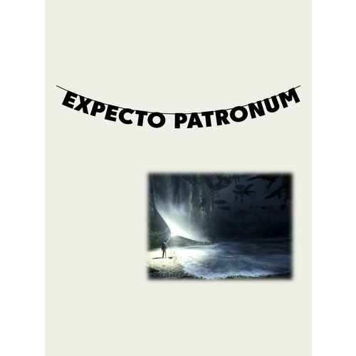         - EXPECTO PATRONUM   -     -,    