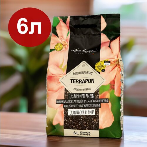           LECHUZA TERRAPON 6    -     -,    