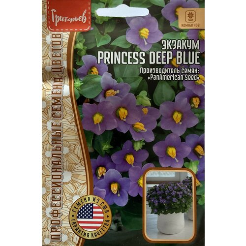     ( ) Princess Deep Blue (3 .)   -     -,    