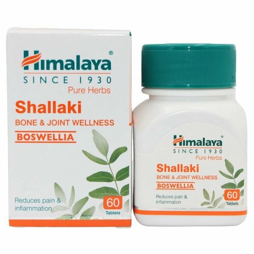    ()  / Shallaki Himalaya, 60    -     -,    