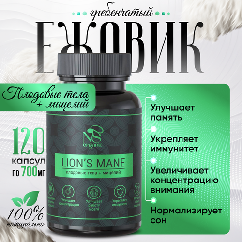    ,  lions mane + ,  120 .   -     -,    