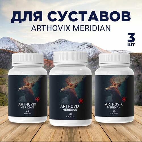       Arthovix Meridian   -     -,    