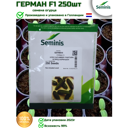    F1 -  , 250  Seminis/ ()   -     -,    