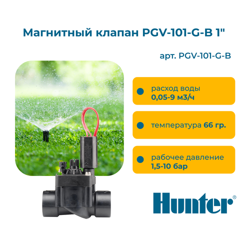     PGV-101-G-B 1