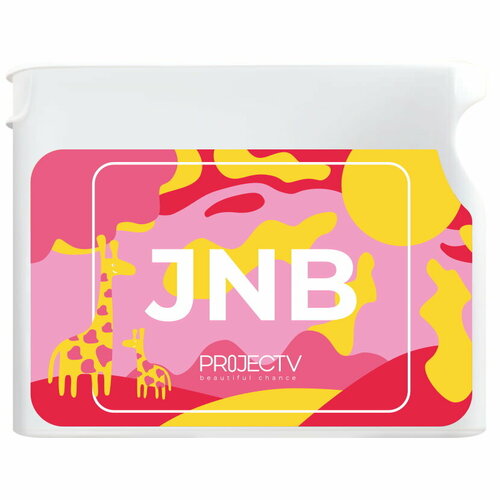    JNB (  )  Project V (Vision)   -     -,    