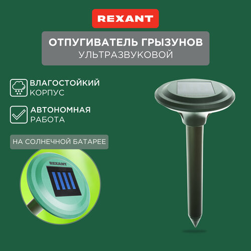     REXANT    REXANT R30 (71-0007) (30 ..)  1 .   -     -,    