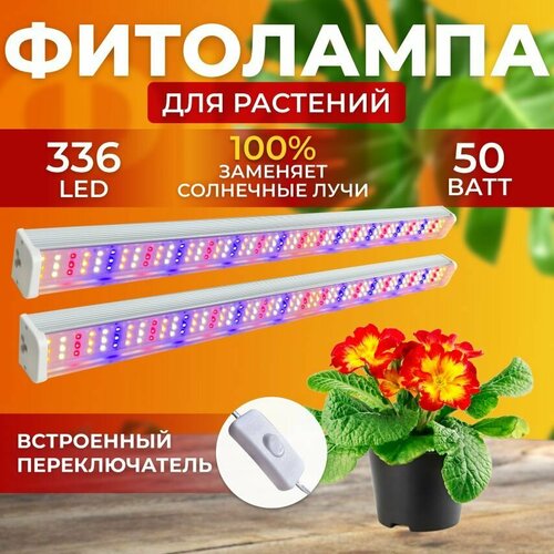         ,     ,     ,  336 LED 50    -     -,    