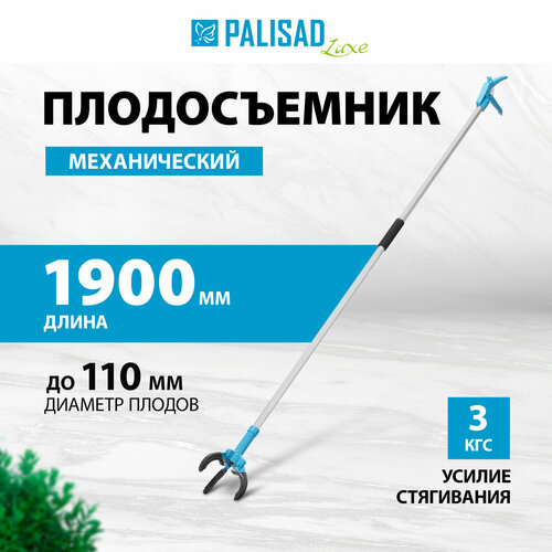     Palisad 1900 ,  , LUXE 64397   -     -,    