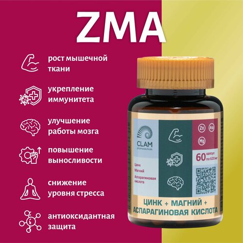     ZMA   ,  +  +  ,  , 60    -     -,    